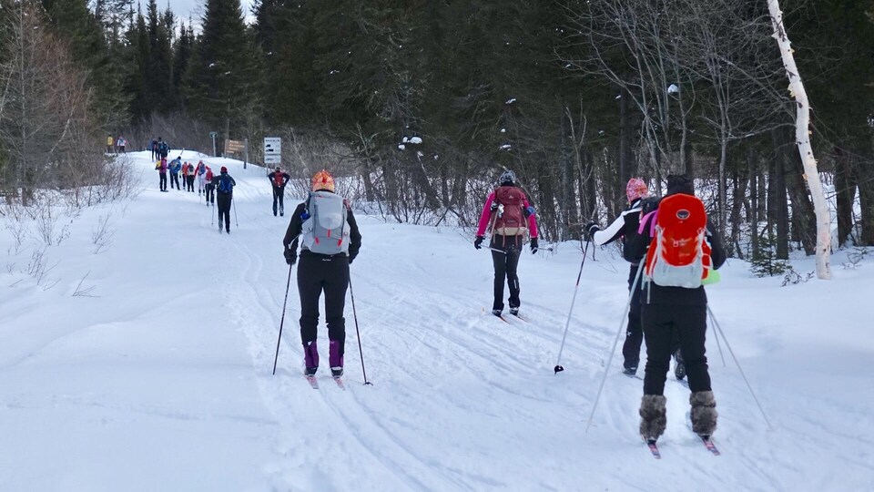 Des skieurs sur une piste de ski de fond