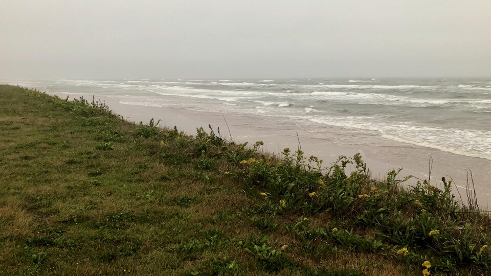 De grosse vagues sous la pluie.
