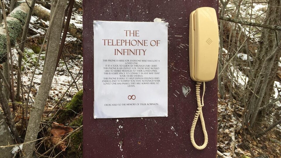 Un vieux téléphone jaunâtre est accroché à une planche de bois installée dans la forêt avec une affiche intitulée: le téléphone de l'infini.