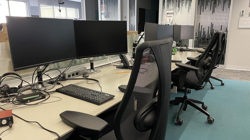 Des employés travaillent dans leur bureau assis devant leur ordinateur.