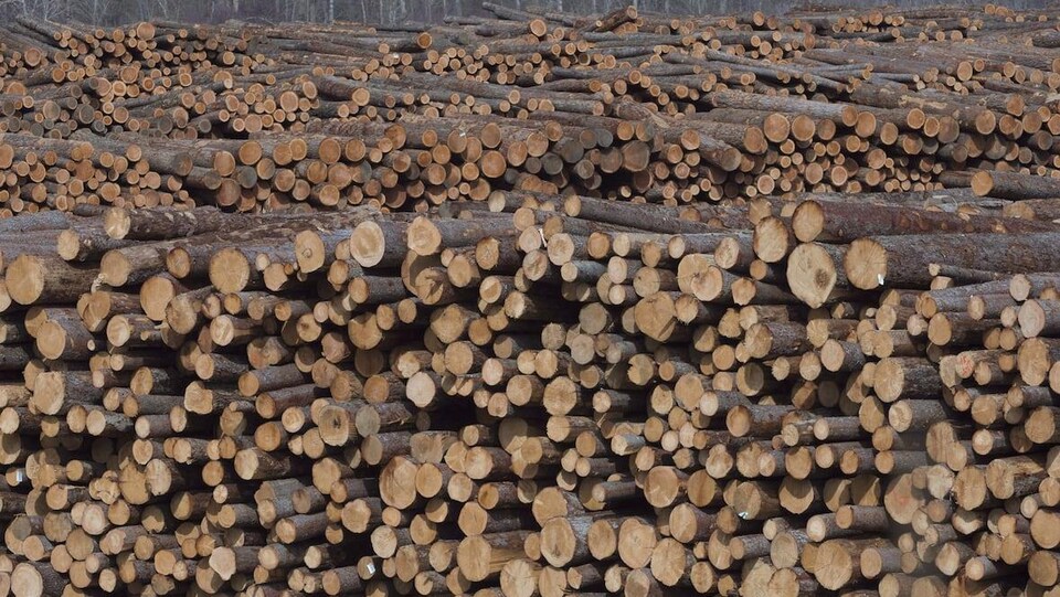 Des centaines de troncs d'arbres sont empilés les uns sur les autres dans la scierie de Heffley Creek appartenant à Tolko.