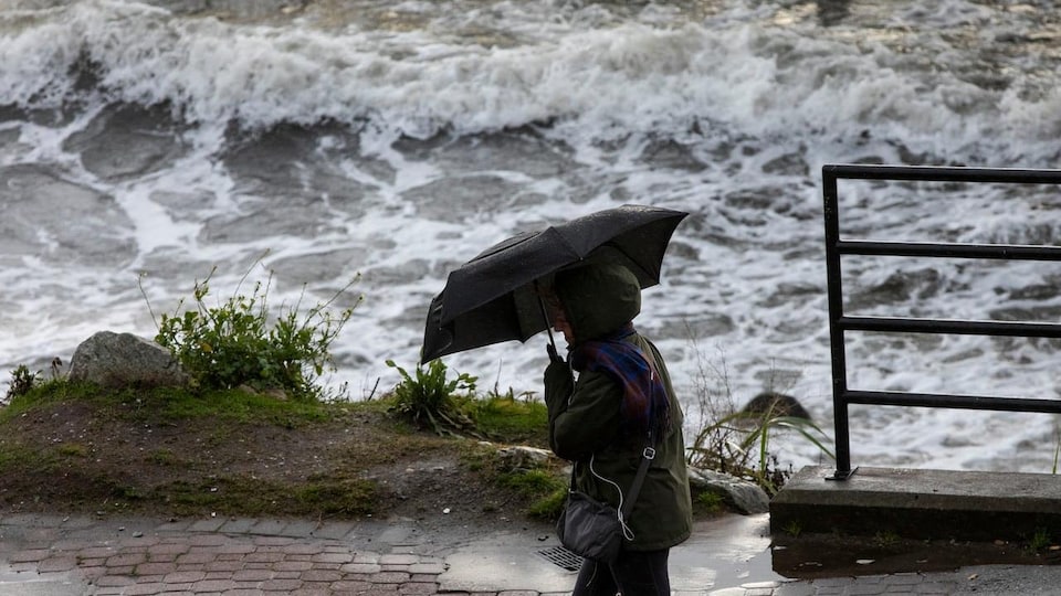Un passant se protège des vents avec un parapluie au bord de la mer.
