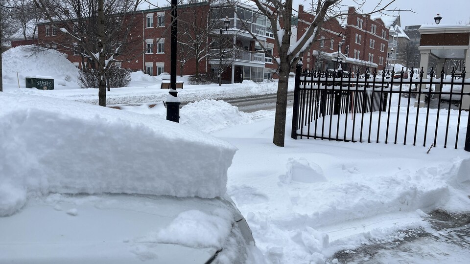 Plusieurs centimètres de neige recouvrent les voitures, les trottoirs et la rue.