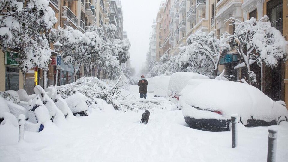 Un homme promène son chien dans une rue qui n'a pas été déneigée. Les voitures et les arbres sont ensevelis sous la neige.