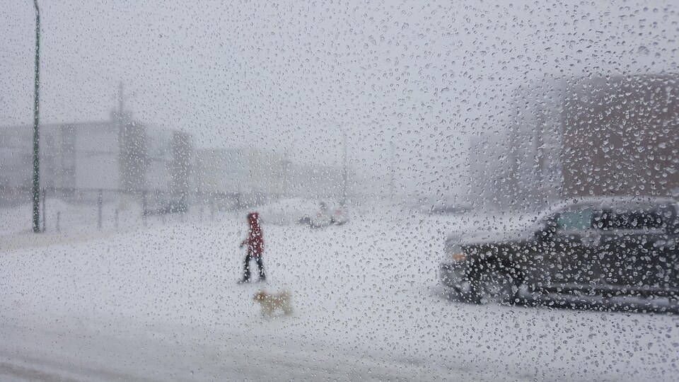 Une personne et un chien marchent dans une rue de Sept-Îles lors de la tempête du 1 mars 2021.