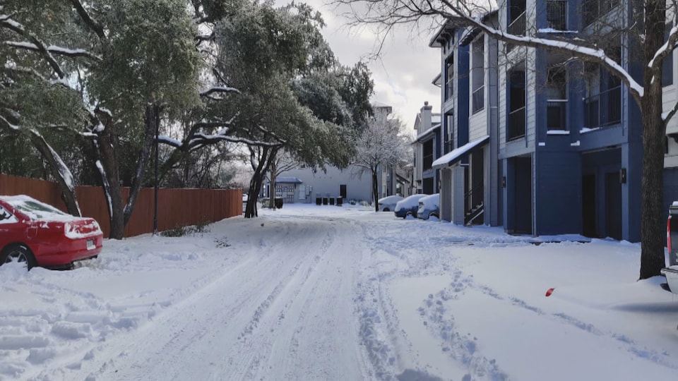 Des voitures sont recouvertes de neige.