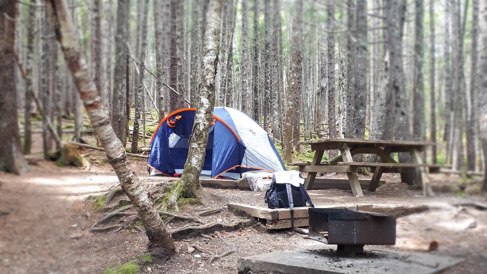 Une tente se trouve dans la forêt sur un terrain de camping rustique.
