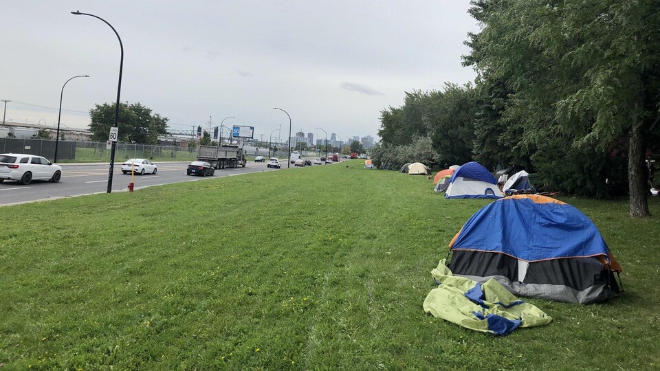 Des tentes alignées le long d'un terrain boisé.