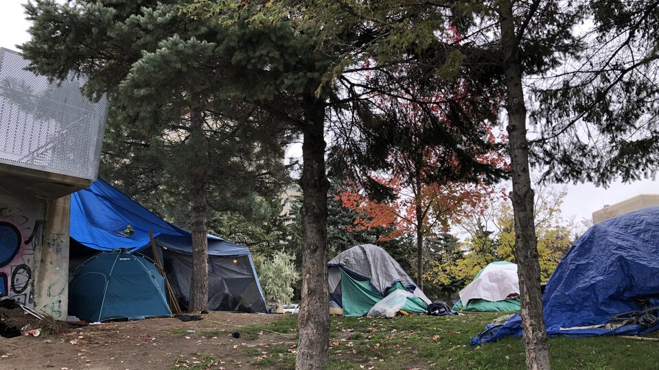 Des tentes entre les arbres du parc.