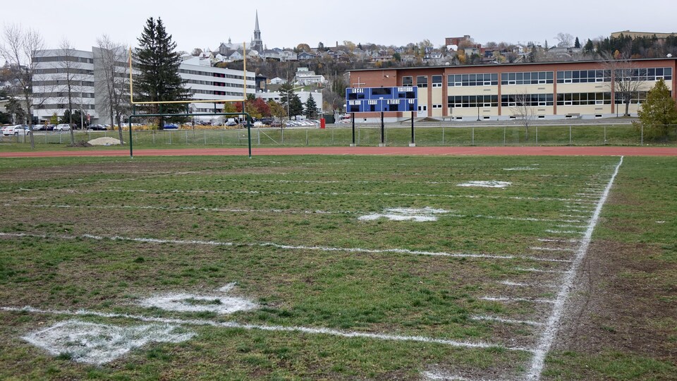 Un terrain de football en mauvais état où il manque des parcelles de gazon.