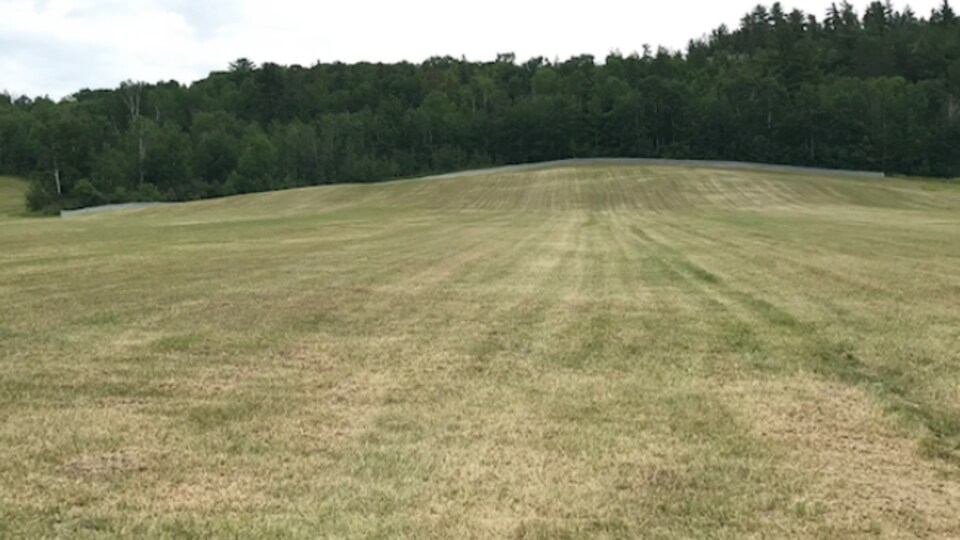 Un terrain de golf