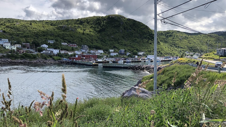 Petty Harbour à Terre-Neuve-et-Labrador.