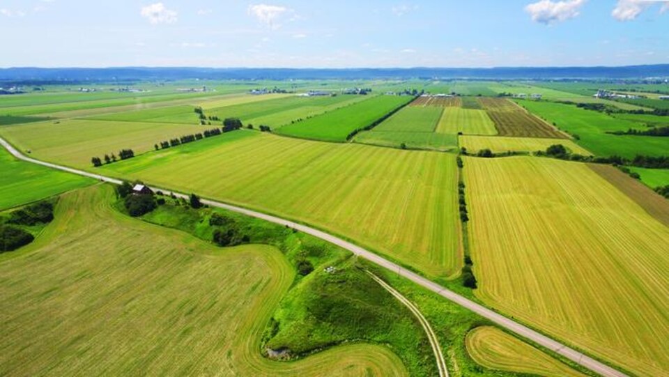 Terres agricoles du Québec vues du ciel.