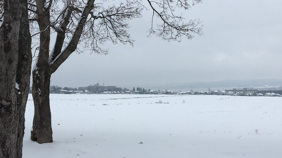 Vue des terres des Sœurs de la Charité à Beauport en hiver. 