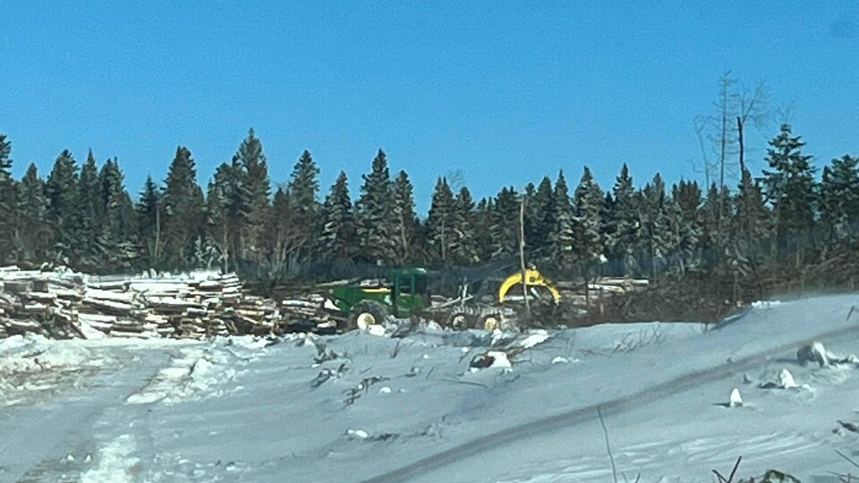 Une machine de compagnie forestière déplace des troncs d'arbres dans un paysage enneigé.