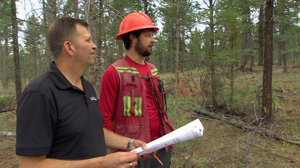 Terry Balan, à gauche, discute avec un collègue en regardant un secteur forestier où quelques arbres ont été abattus.
