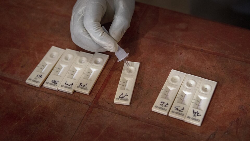 Des tests rapides de dépistage de la COVID-19 à Gauhati, en Inde, le 1er mai 2021.