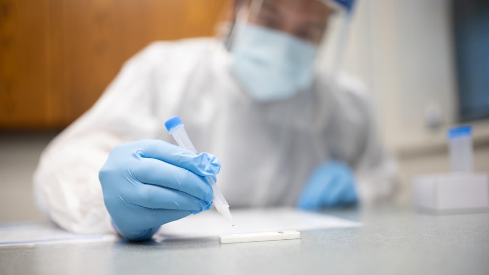 Un échantillon de sécrétions nasales est déposé sur la cartouche qui sert à réaliser le test de dépistage rapide de la COVID-19.