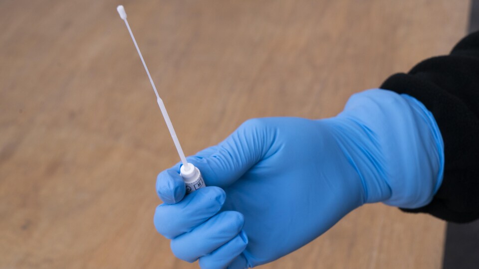 Une main présente un écouvillon utilisé pour les prélèvements lors des tests de coronavirus. 