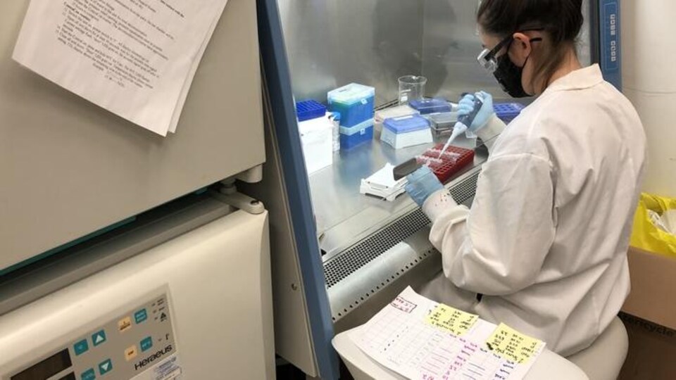 Une étudiante effectue des tests en laboratoire. 