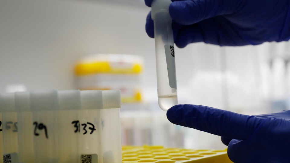 Un technicien de laboratoire manipule des éprouvettes qui contiennent des échantillons servant au dépistage de la COVID-19, le 30 octobre 2020, à Vienne, en Autriche.