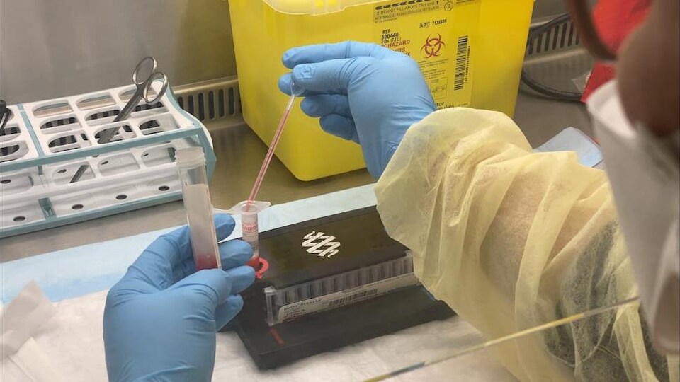 Une personne en laboratoire manipule des fioles.