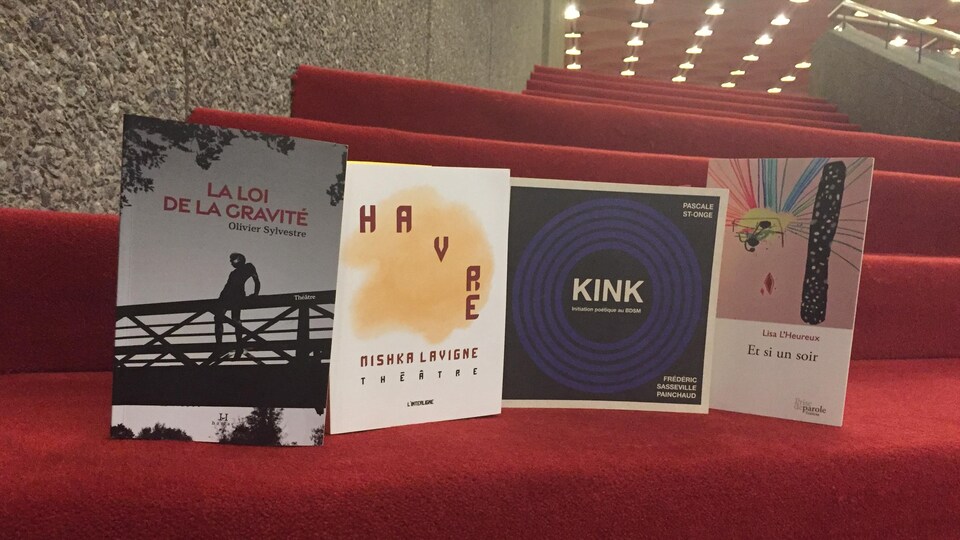 Les livres sont présentés debout sur une marche d'escalier tapissée de moquette rouge. On aperçoit les lumières incrustées dans le plafond en arrière-plan.