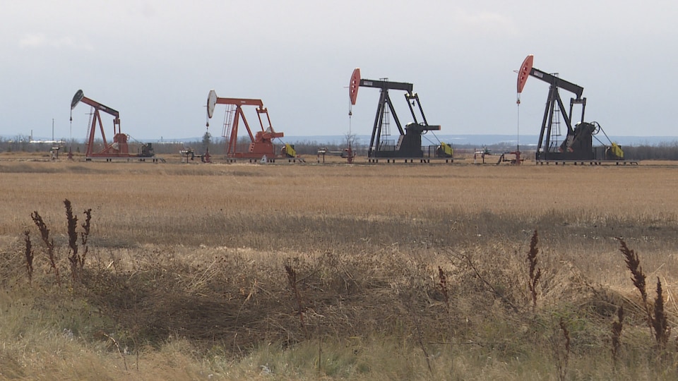 Des tiges de pompage sur des puits de pétrole dans un champ au sud de Peace River, en Alberta. Octobre 2019.