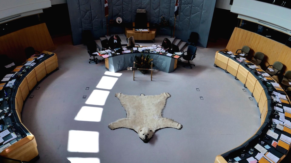 Une peau d'ours polaire décore l'Assemblée législative des T.N.-O.