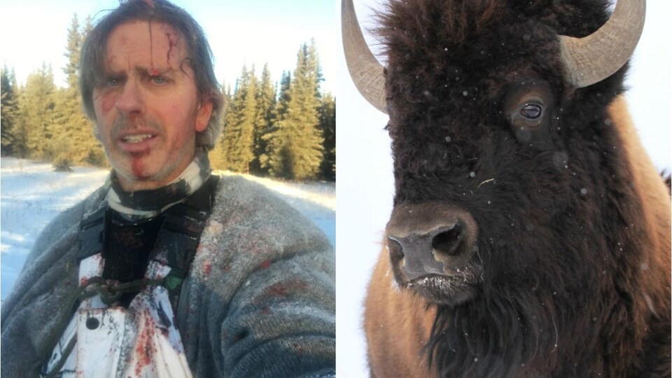 Todd Pilgrim à gauche et un bison à droite.