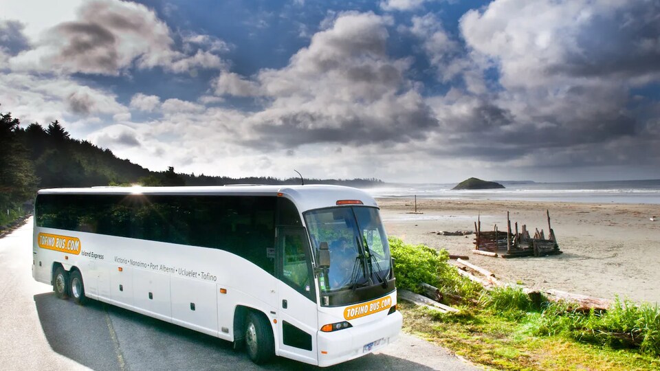 Un autocar de la compagnie Tofino Bus stationné au bord d'une route, près d'une plage. 