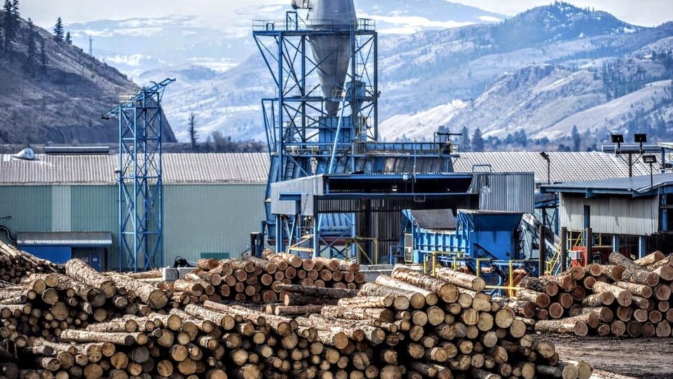 Des piles de billots de bois devant une scierie de l'entreprise forestière Tolko, à Heffley Creek, en Colombie-Britannique.