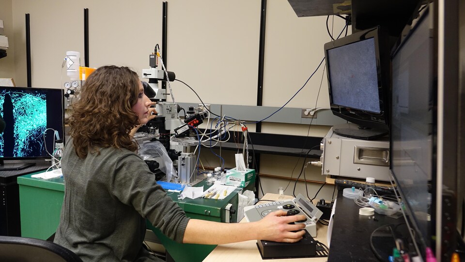 Toni-Lee Sterley manipule un microscope dans un laboratoire