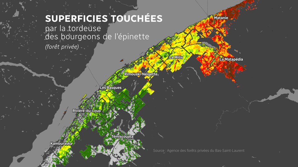 Carte montrant du vers dans l'ouest du Bas-Saint-Laurent et du rouge/brun dans la Matapédia et la Matanie.