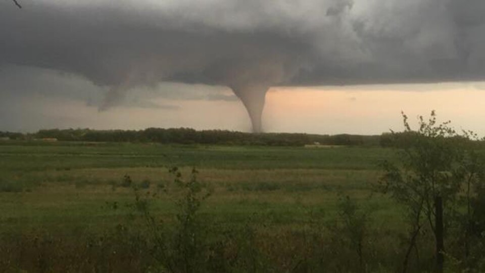 La tornade en forme d'entonnoir gris touche le sol derrière un champ près d'Alonsa au Manitoba