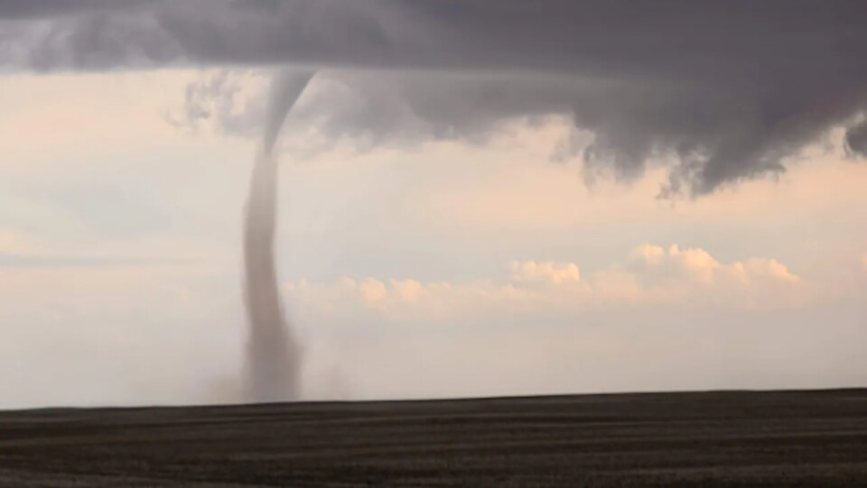Une possible tornade dans un champ.