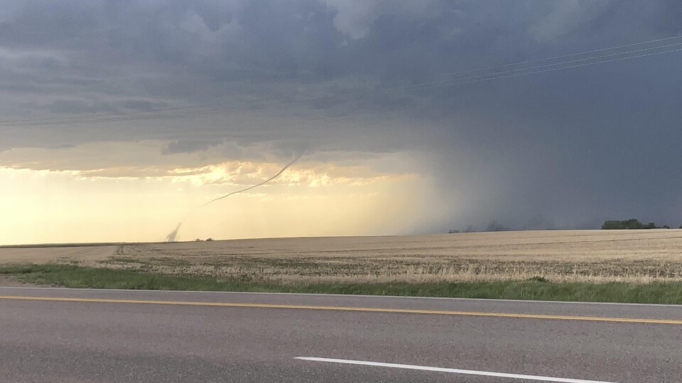 Tornade au loin, dans un champ, qui a déjà touché terre.