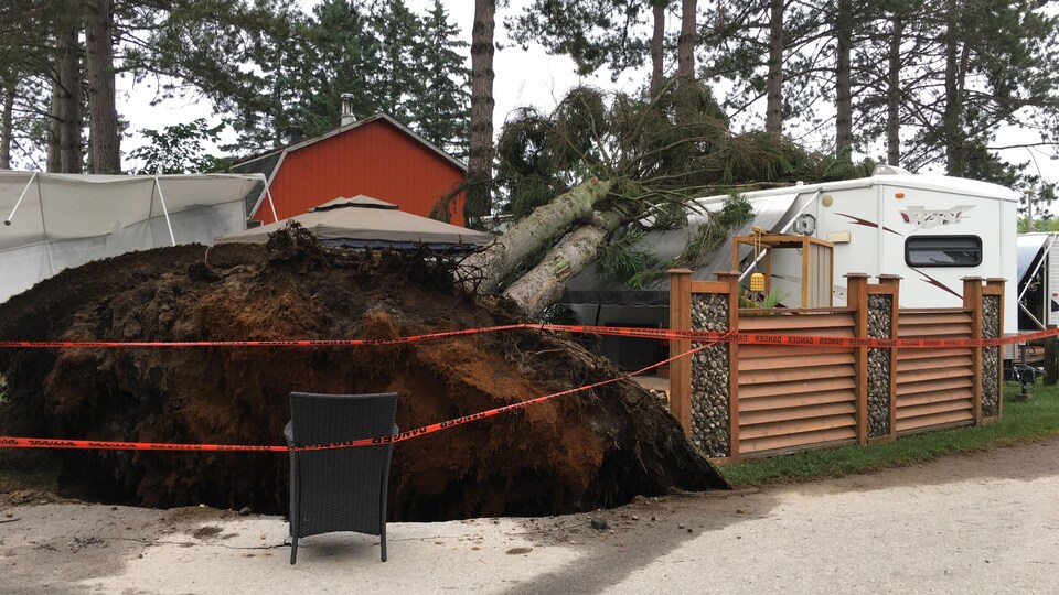 Un arbre déraciné tombé sur une roulotte.