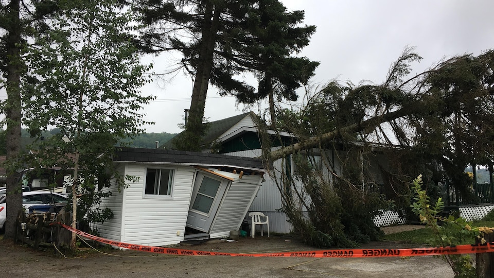 Un arbre déraciné a écrasé une maison mobile.