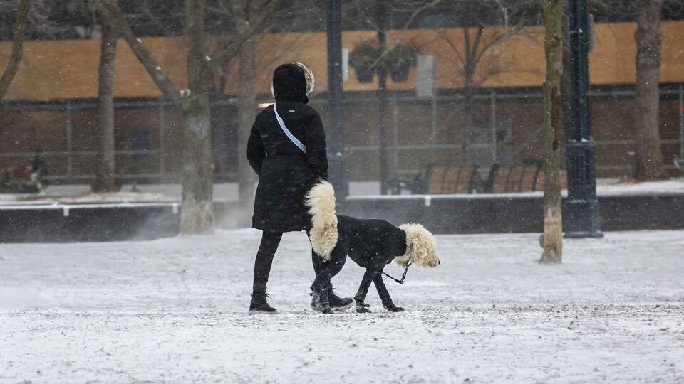 Une femme et un chien portant tous les deux un manteau d'hiver marchent dans un parc enneigé.