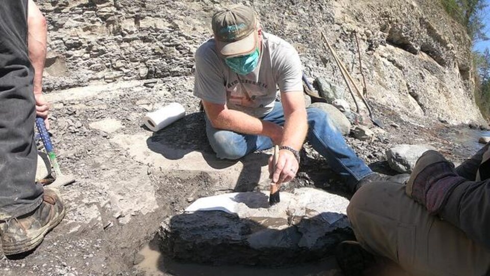 Des paléontologues examinent le fossile de la tortue incrusté dans une roche au bord de la rivière Puntledge