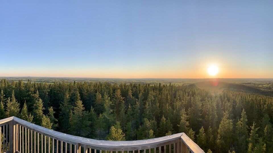 Un coucher de soleil sur la forêt.