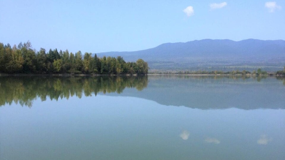 Un lac avec des arbres au loin.