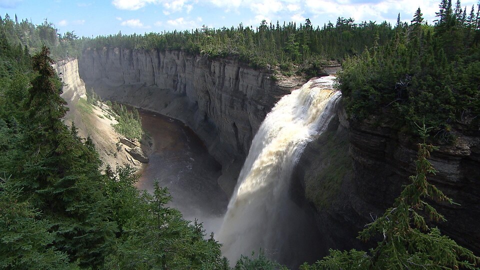 Une chute à travers des arbres