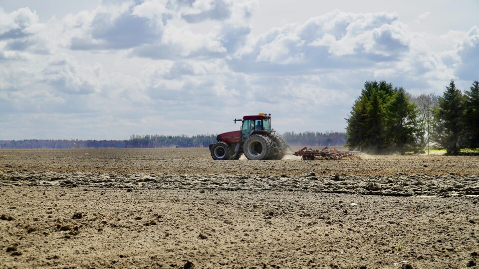 Un tracteur laboure un champs au printemps.