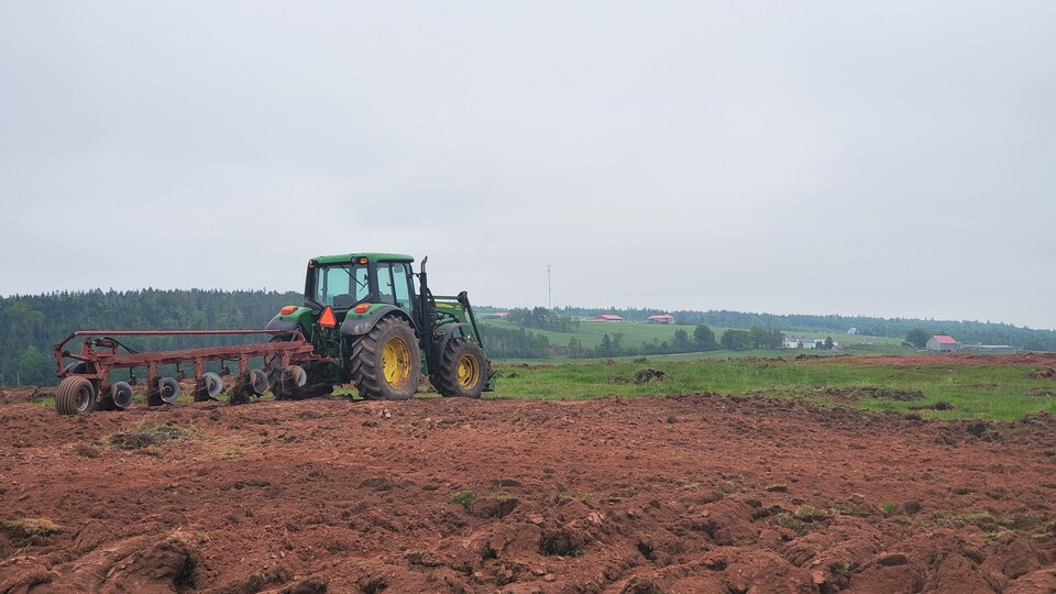 Un tracteur dans un champ.