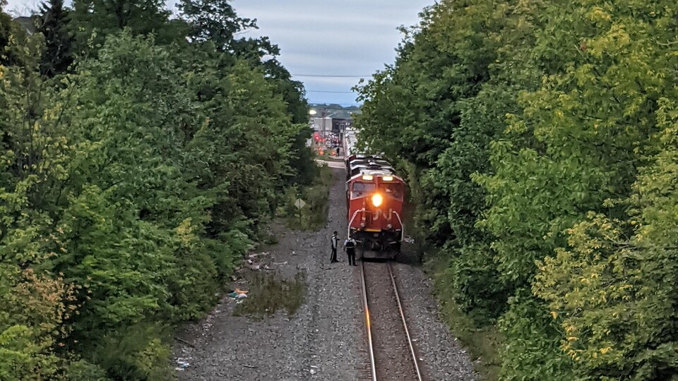 Un train du CN est immobilisé sur une route entouré de plusieurs arbres.