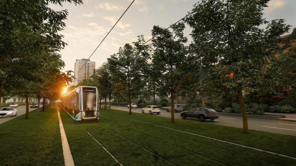 Le tramway roulant sur une bande gazonné au centre du boulevard Laurier.