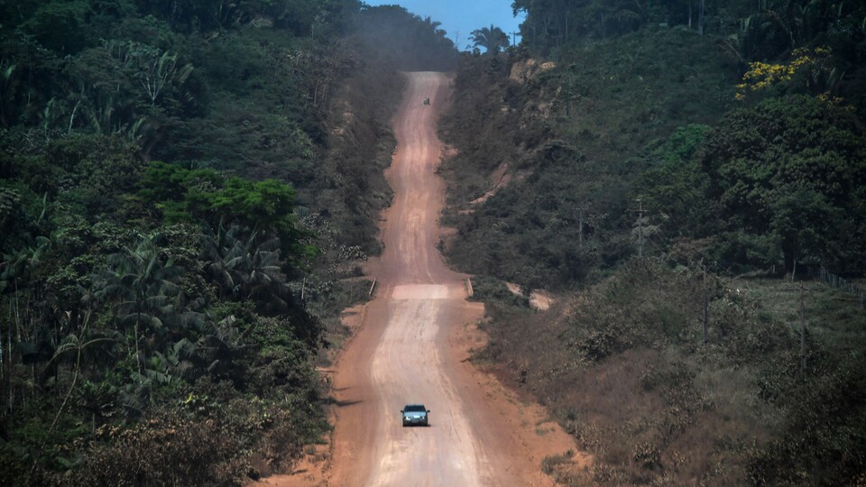 Sur La Route A Travers L Amazonie L Asphalte Mange La Foret Radio Canada Ca
