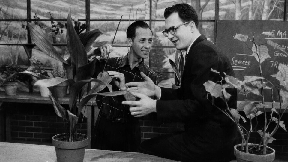 Dans un studio de télévision, l'animateur Auray Blain est debout à une table et montre la feuillle d'une plante en pot au journaliste Gustave Larocque qui est assis sur la table.